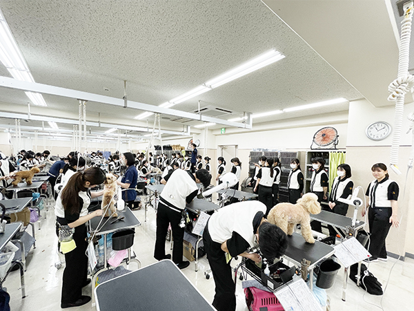 ☆先輩のトリミングを見学☆